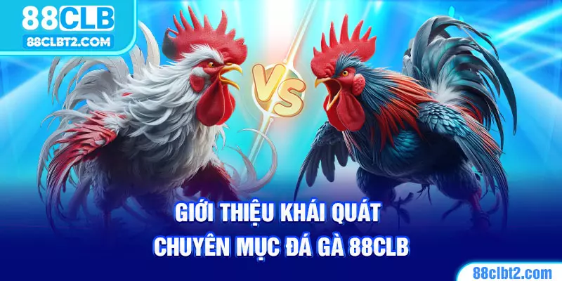 Tổng quan về chuyên mục Đá gà 88CLB