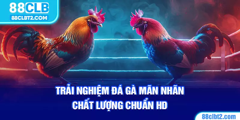 Phát sóng trực tiếp chất lượng cao, hình ảnh Full HD